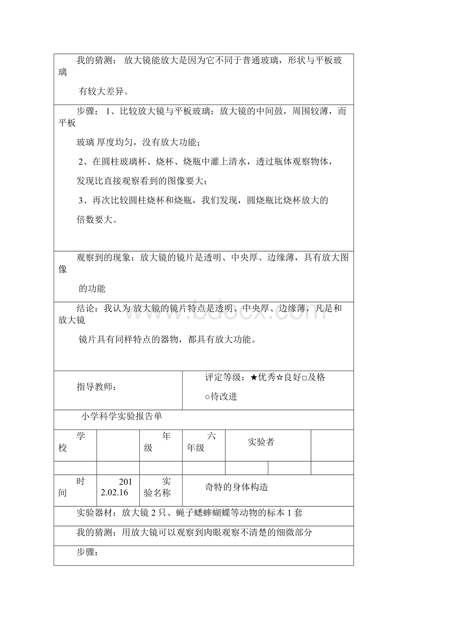 教科版六年级科学下册实验报告完整.docx_第3页