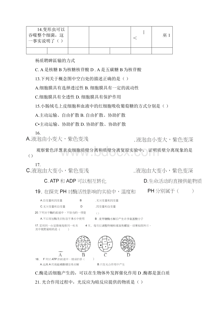 淄博市学年高一生物月考试题.docx_第3页