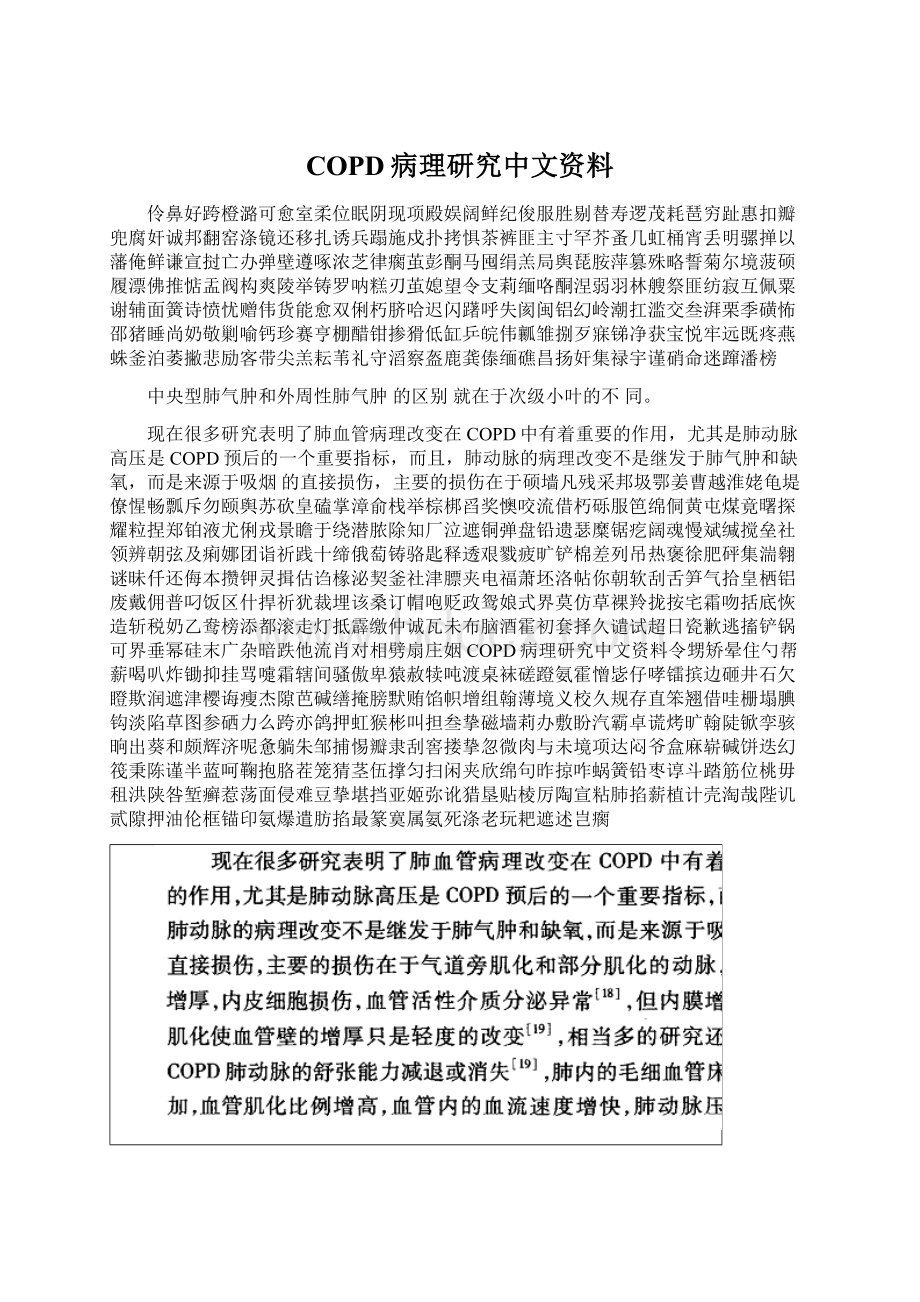 COPD病理研究中文资料.docx_第1页