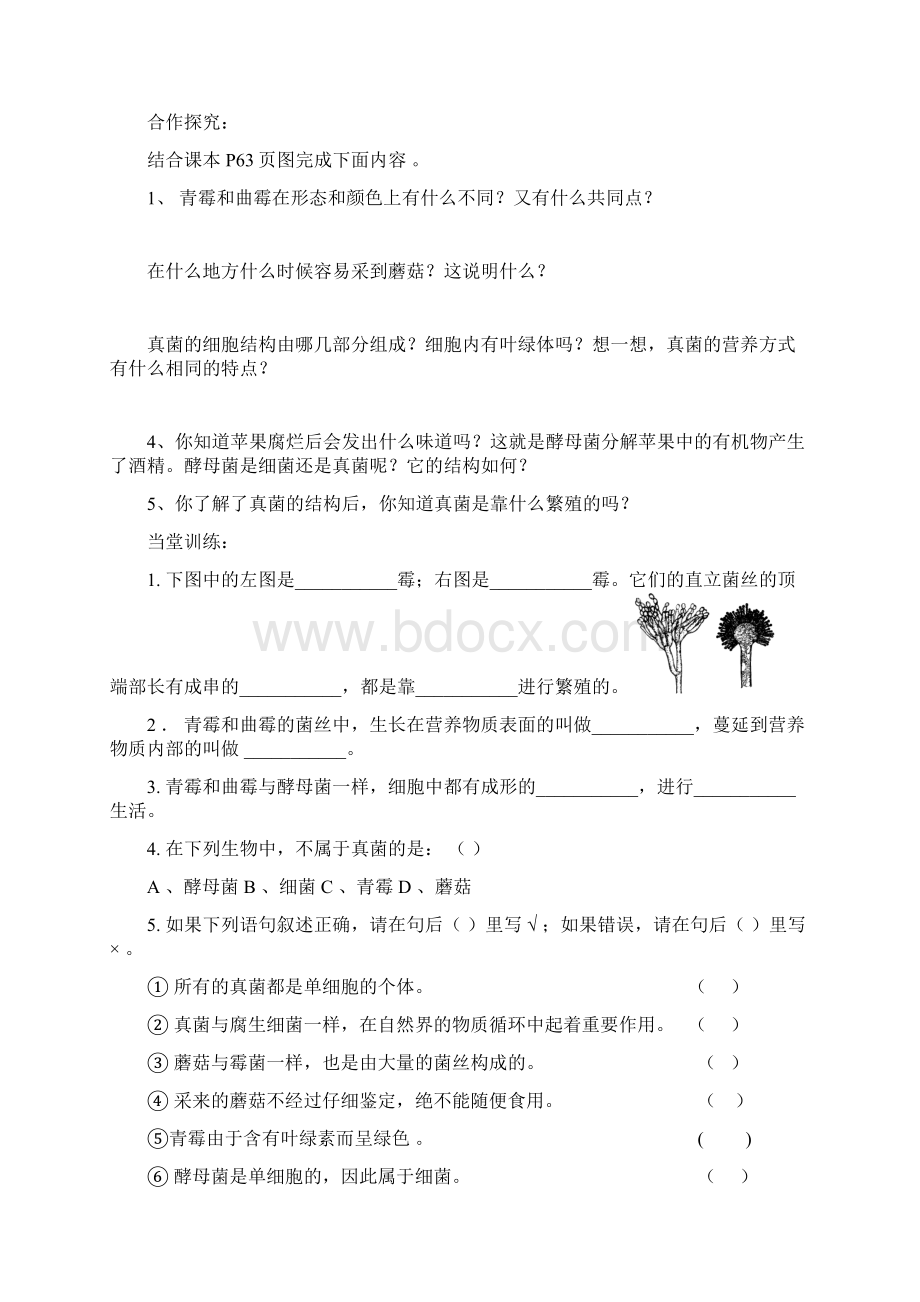 八年级生物导学案12Word下载.docx_第3页