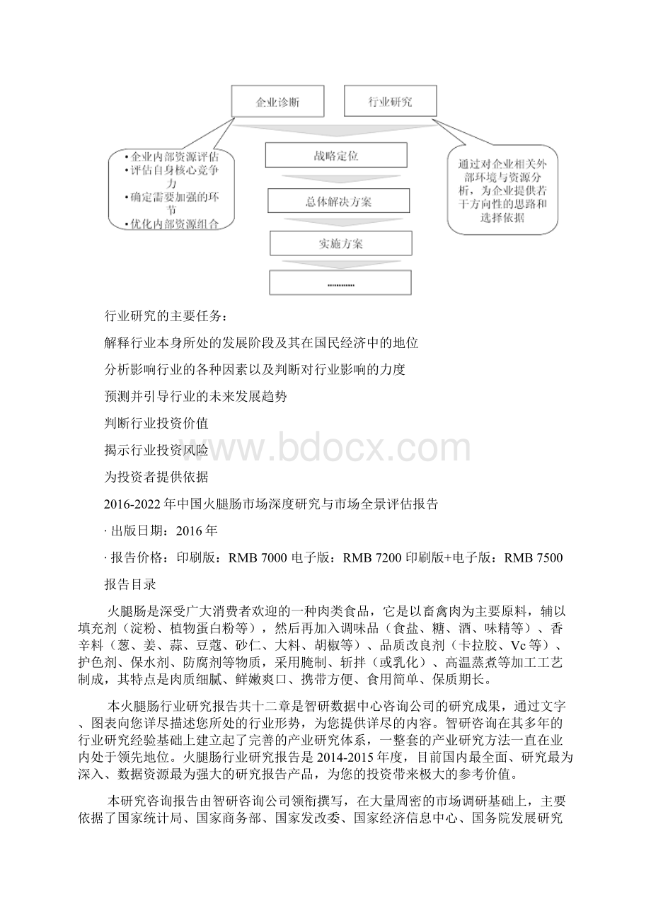 中国火腿肠市场深度研究与市场全景评估报告Word文档格式.docx_第3页