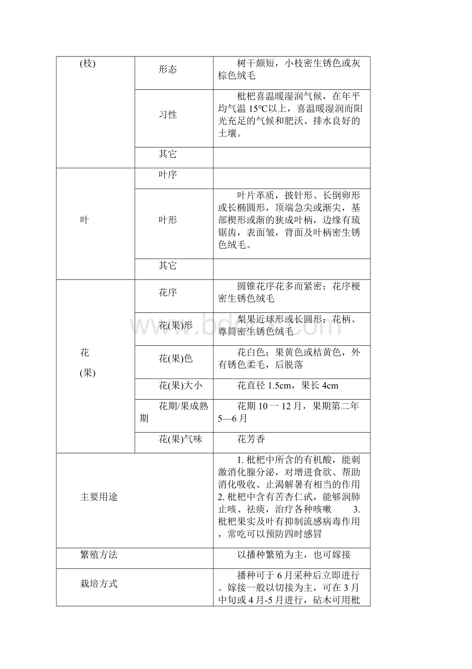 植物观测记录.docx_第3页