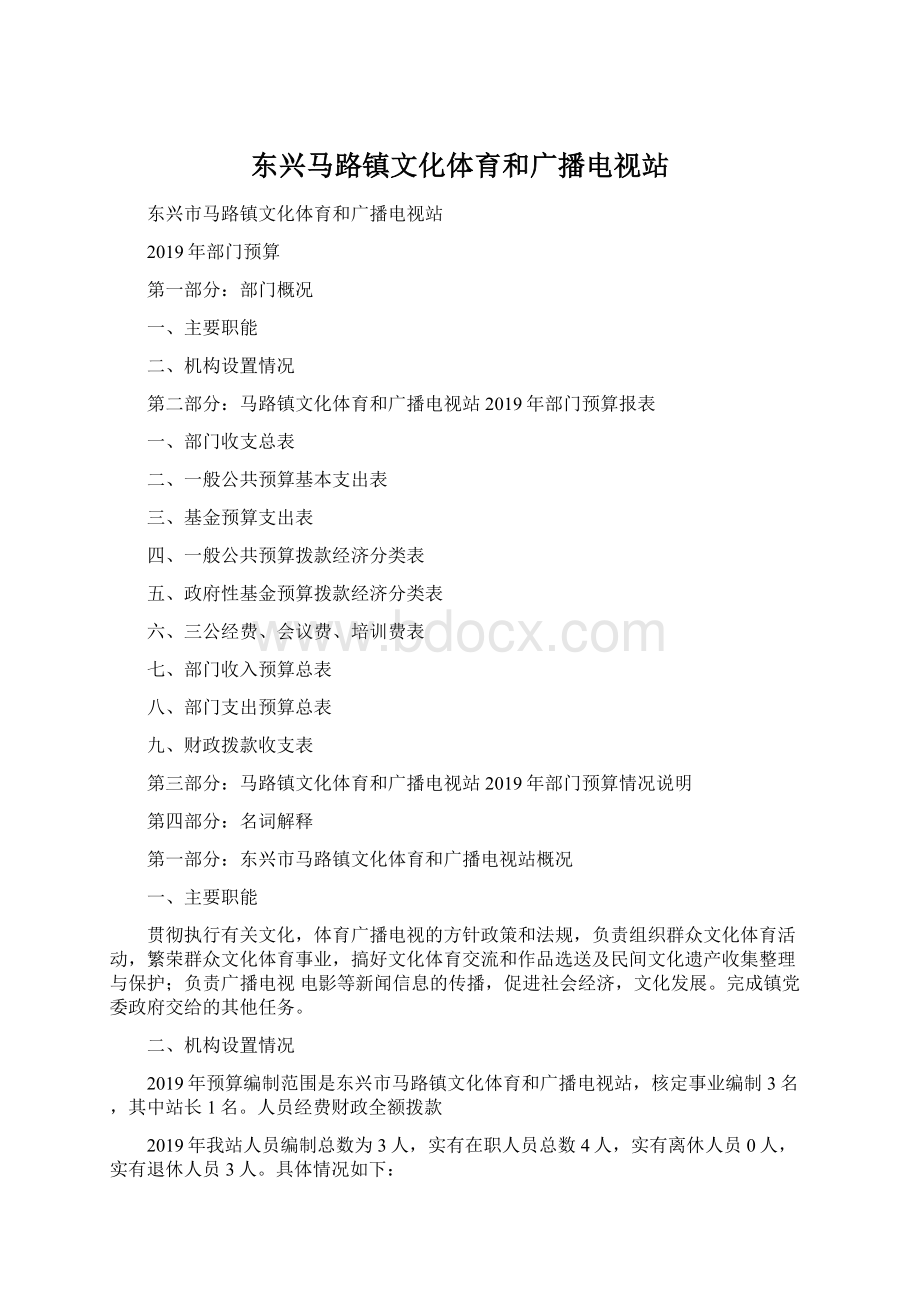 东兴马路镇文化体育和广播电视站Word文件下载.docx