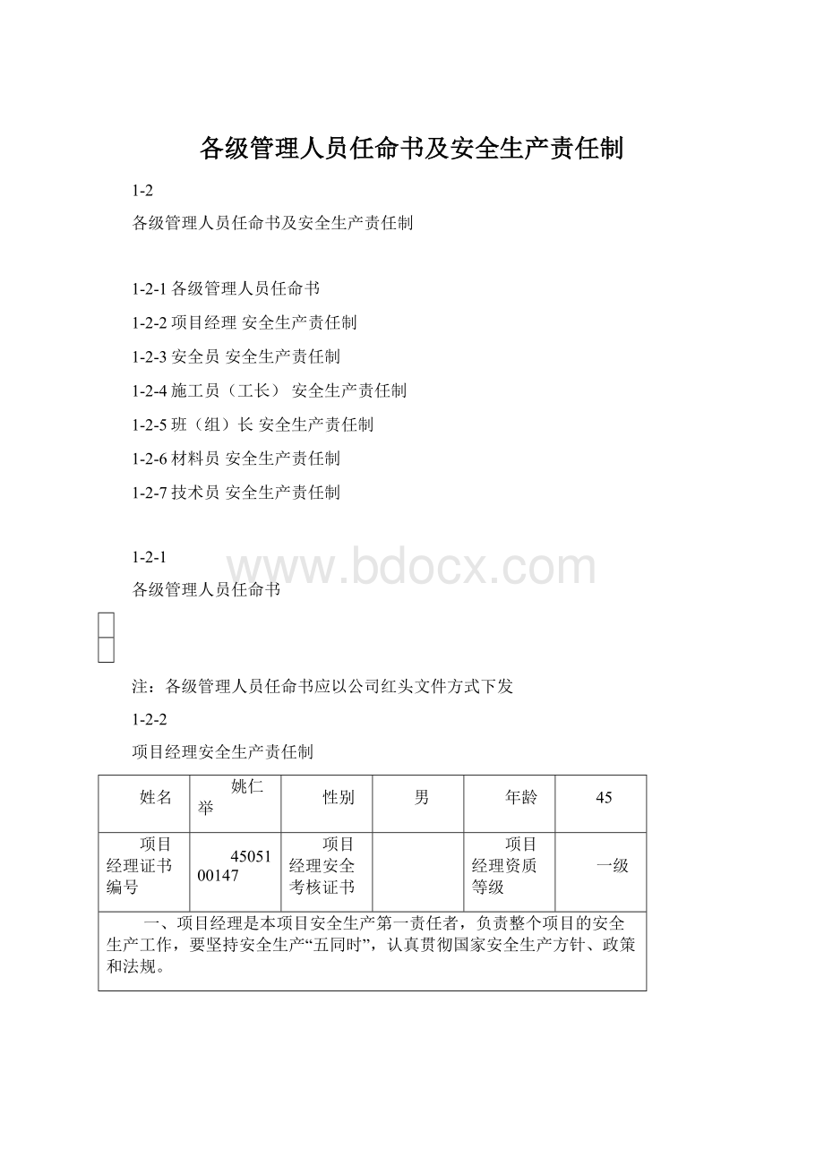 各级管理人员任命书及安全生产责任制.docx_第1页