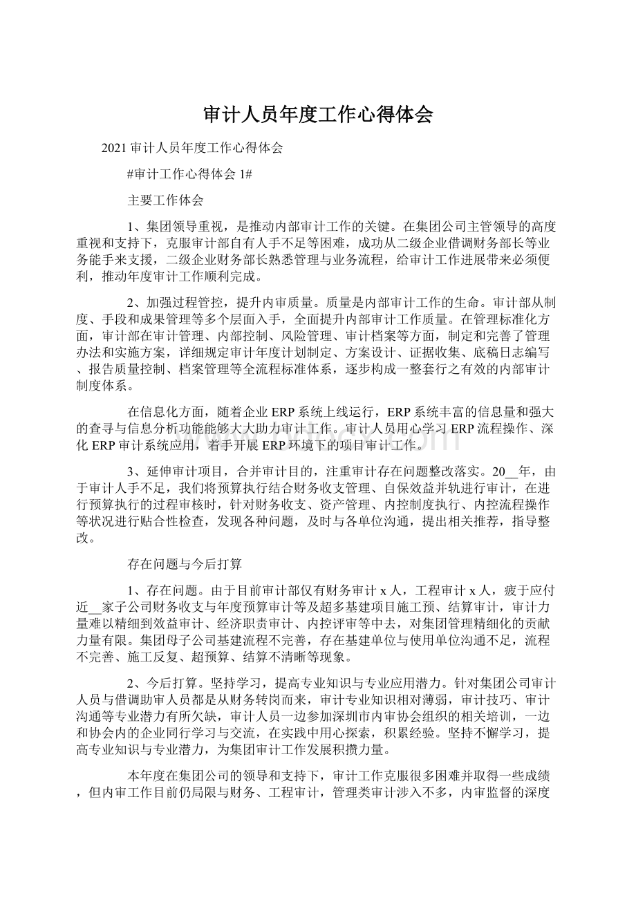 审计人员年度工作心得体会Word文档格式.docx_第1页