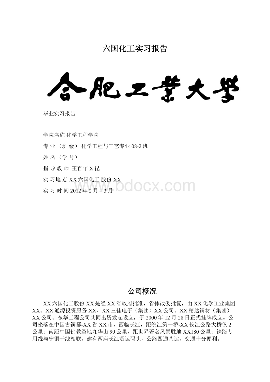 六国化工实习报告Word文档格式.docx