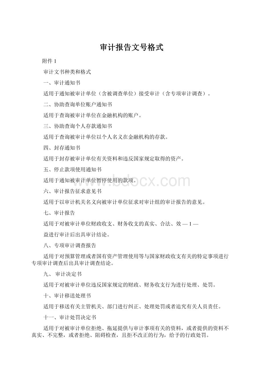 审计报告文号格式Word格式.docx_第1页