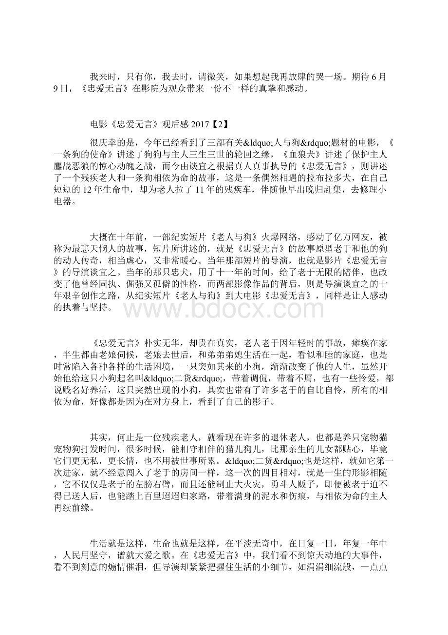 《忠爱无言》电影观后感Word文档下载推荐.docx_第2页