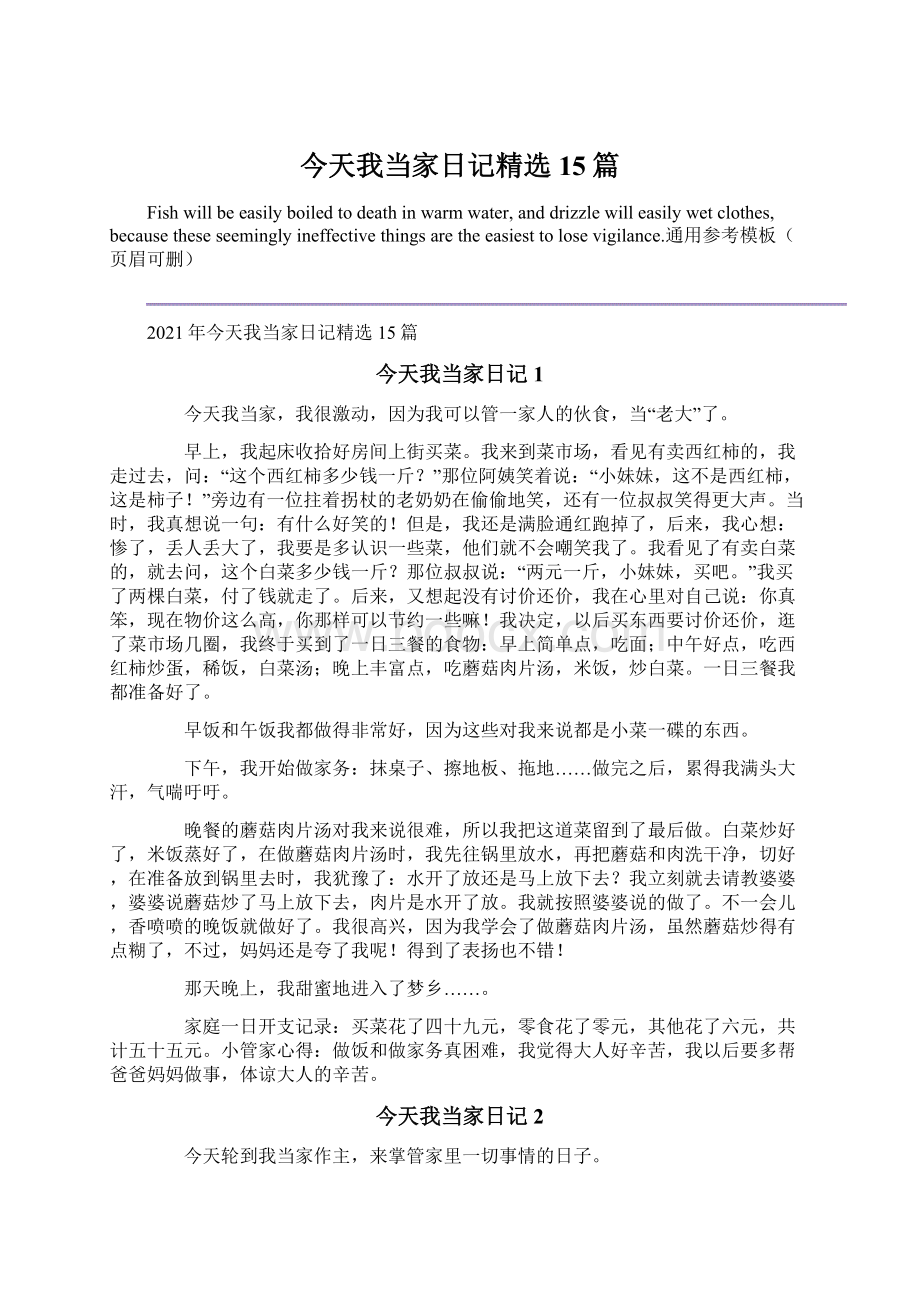 今天我当家日记精选15篇文档格式.docx