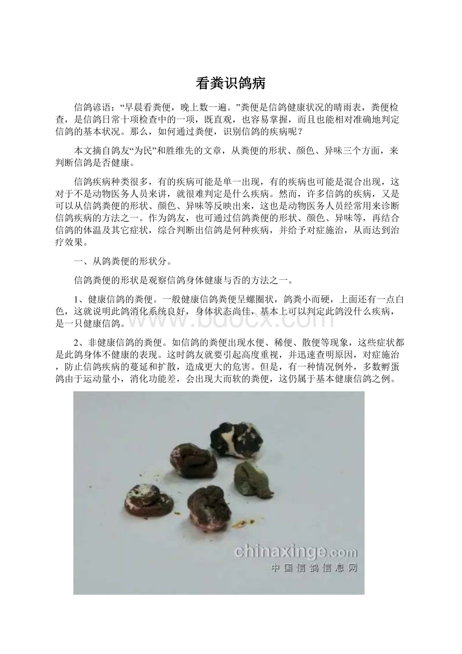 看粪识鸽病Word文档下载推荐.docx