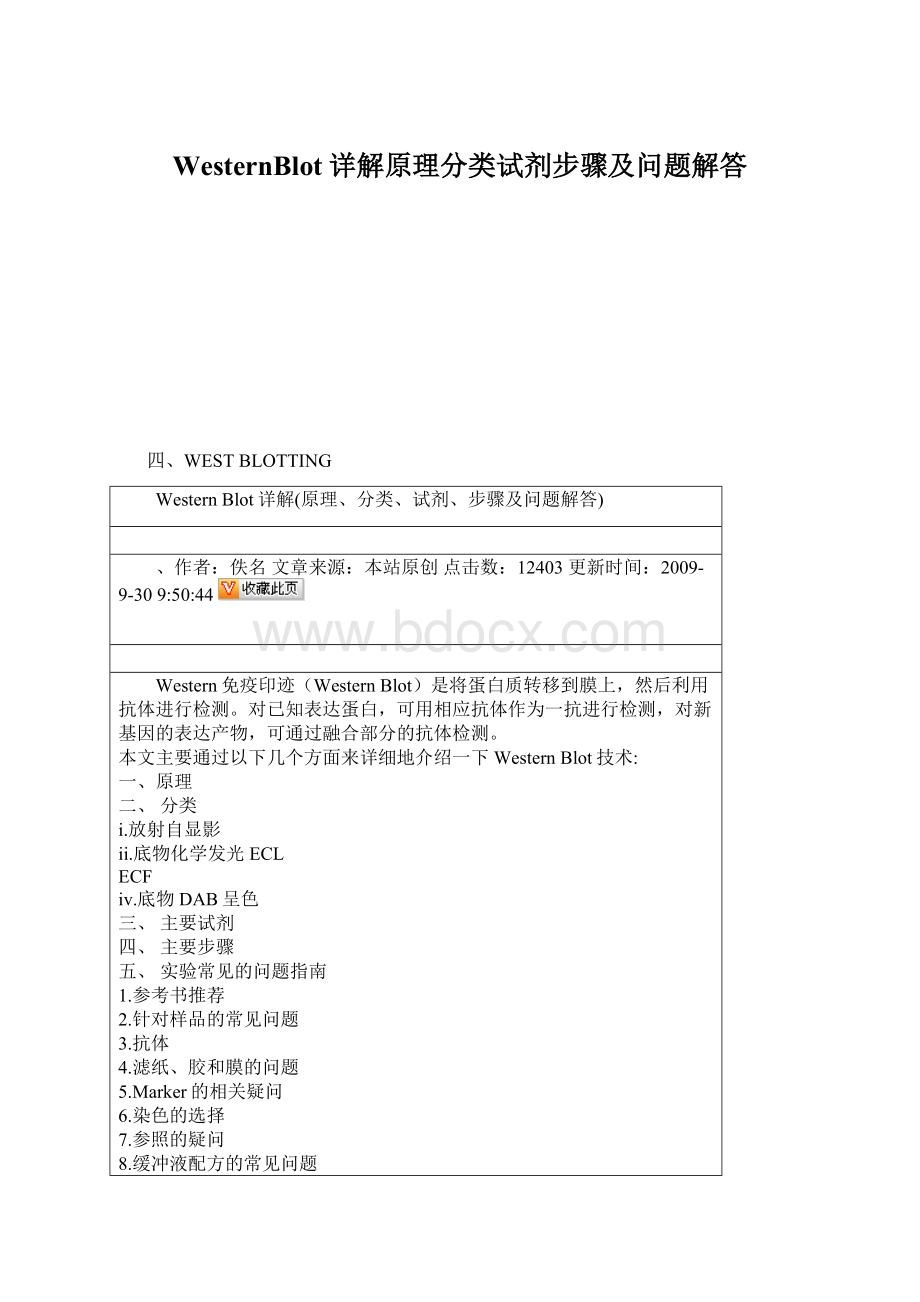 WesternBlot详解原理分类试剂步骤及问题解答Word格式文档下载.docx