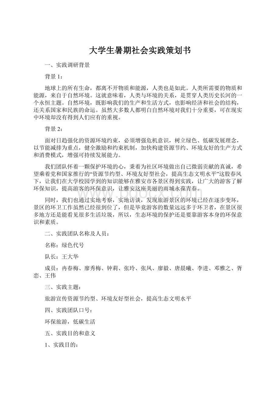 大学生暑期社会实践策划书.docx