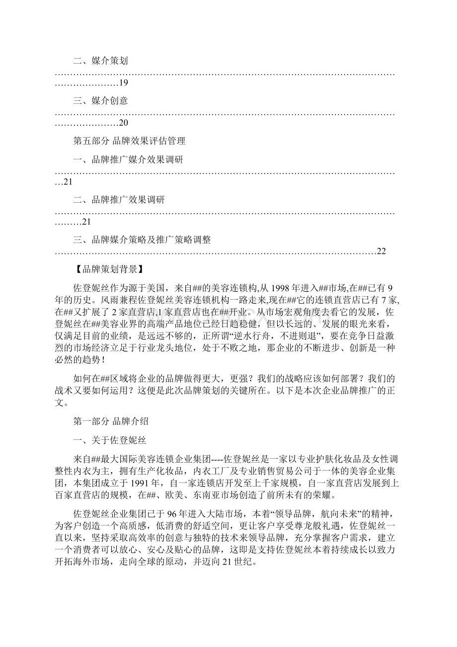 佐登妮丝品牌区域策略案1.docx_第2页