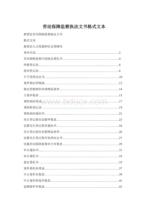 劳动保障监察执法文书格式文本Word格式.docx