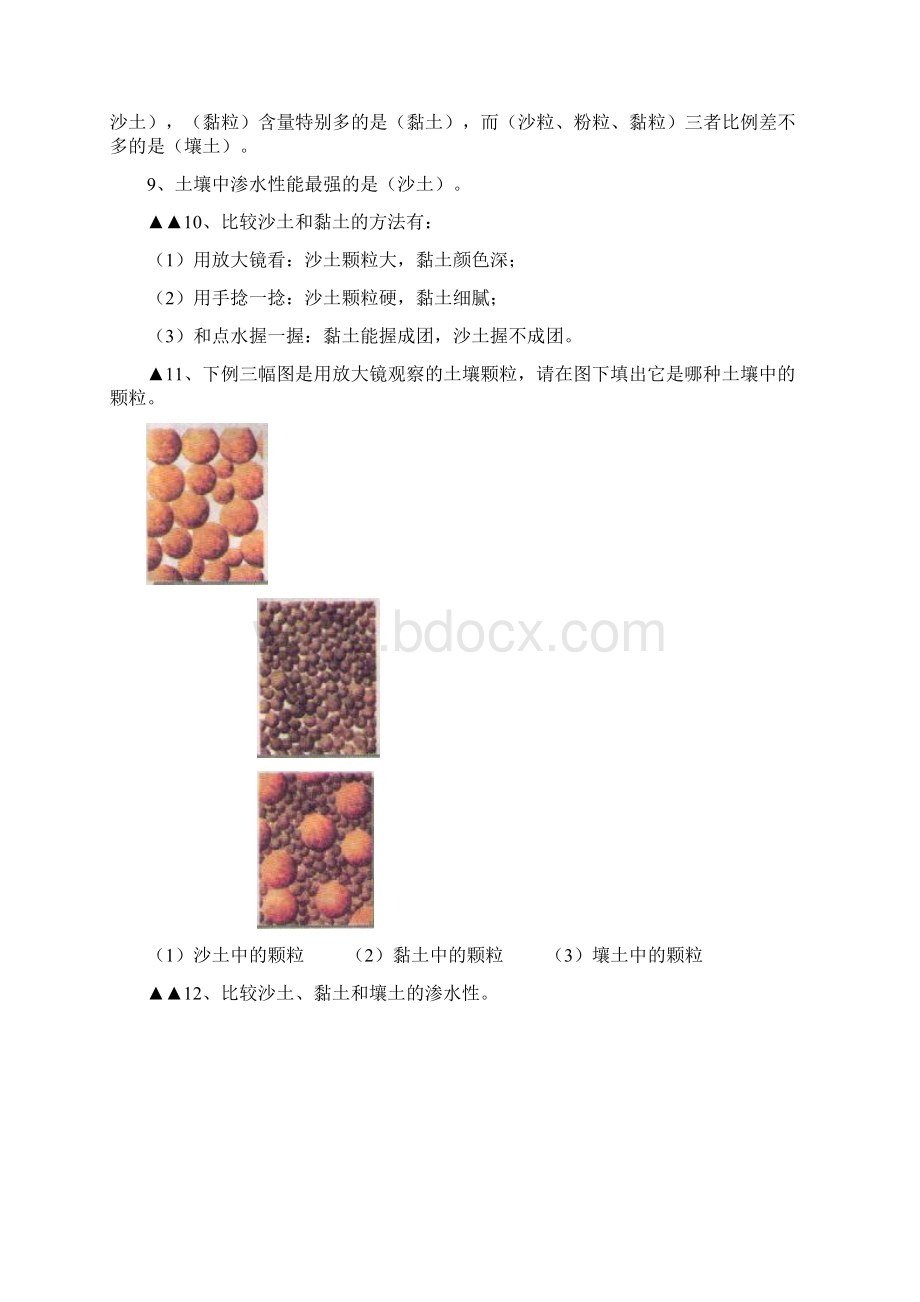 小学三年级科学教材.docx_第2页