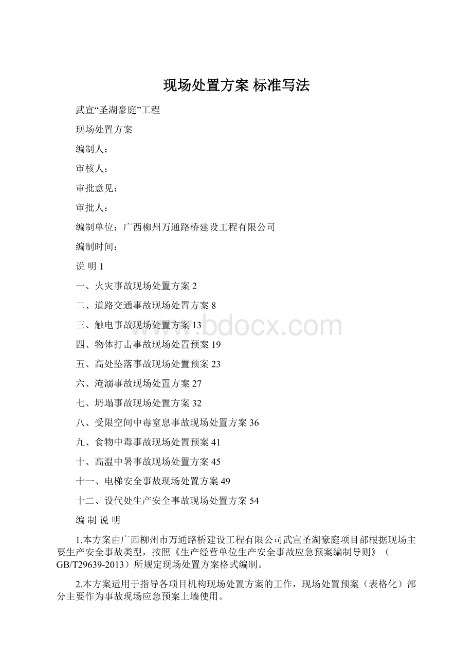 现场处置方案 标准写法文档格式.docx