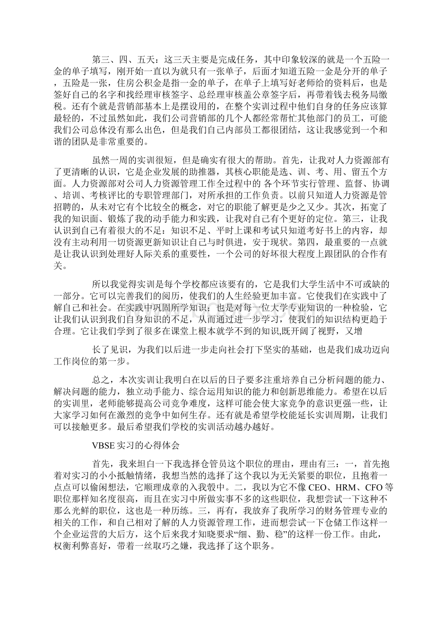 vbse个人总结.docx_第2页