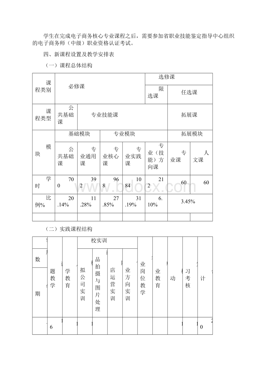 电子商务课程体系改革方案说明.docx_第3页