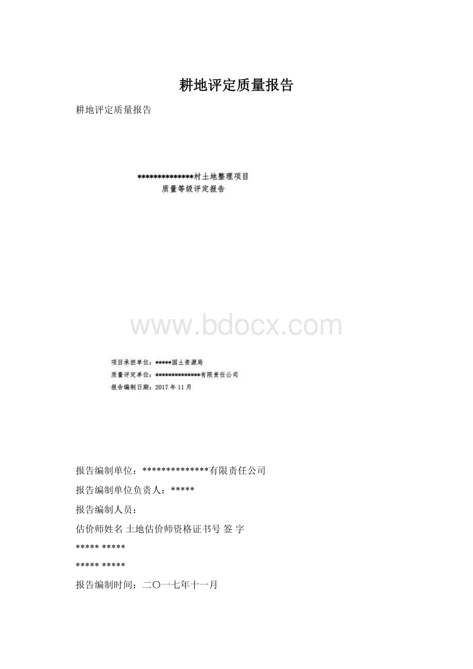 耕地评定质量报告Word文件下载.docx