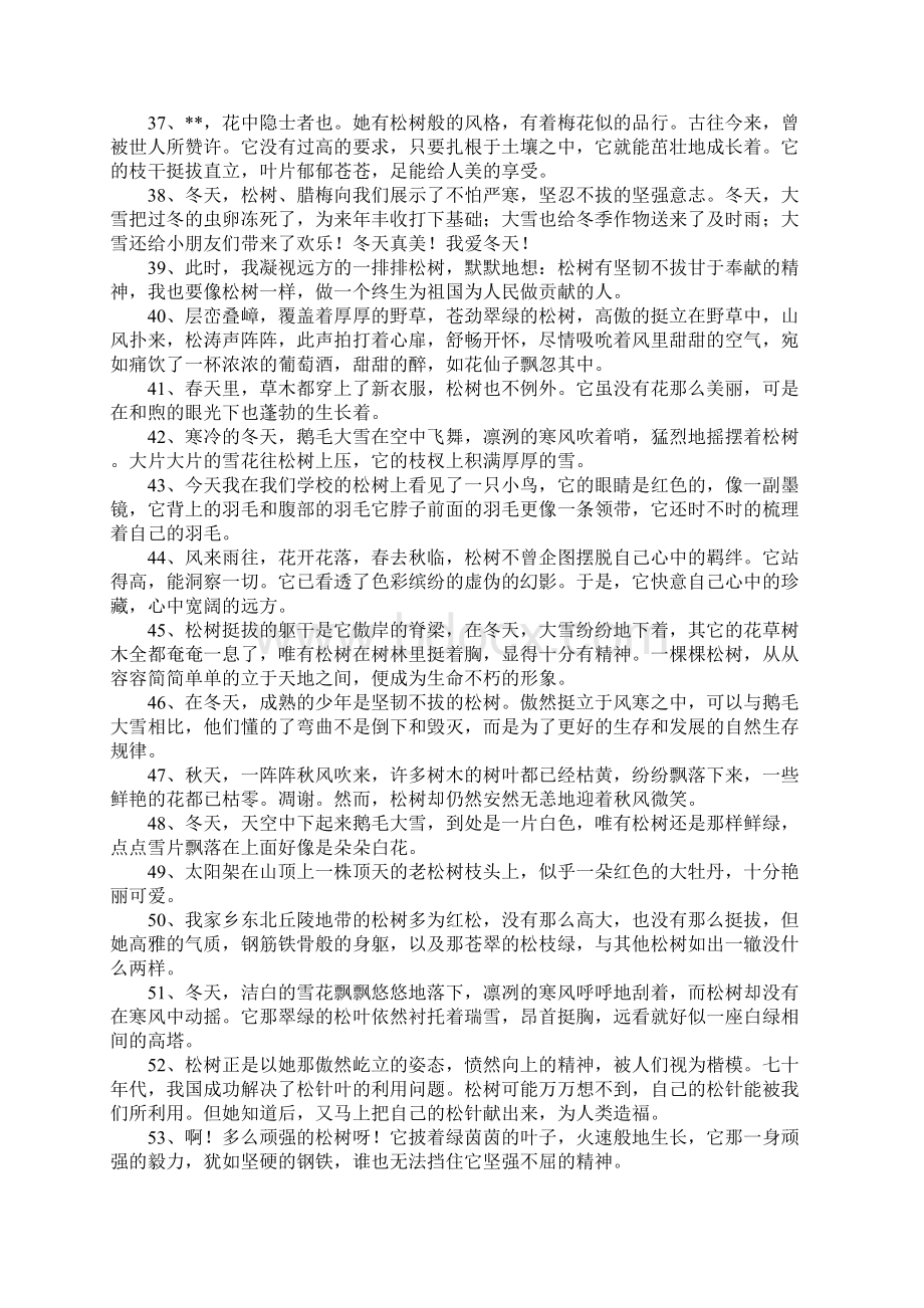 松树造句Word格式文档下载.docx_第3页