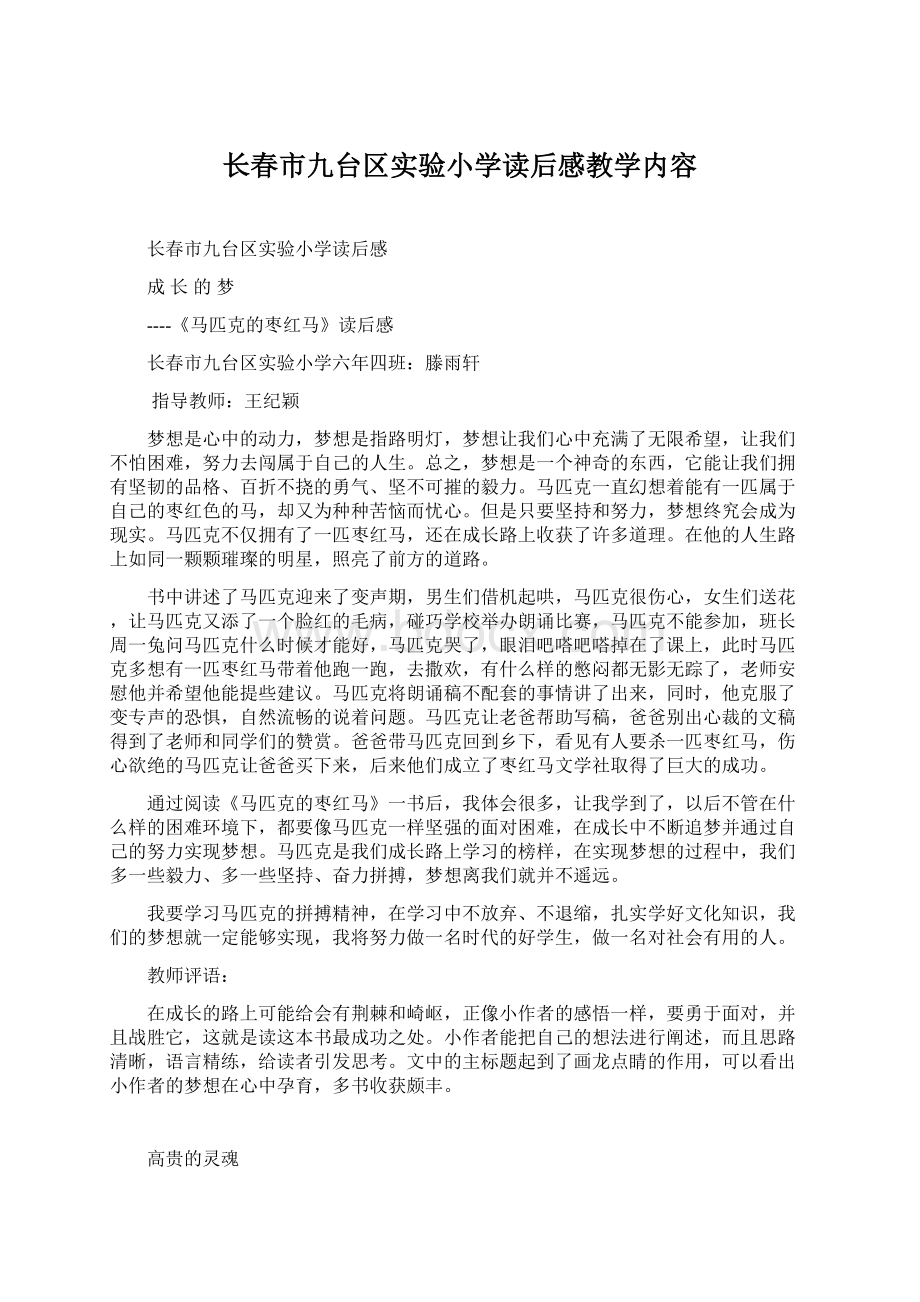 长春市九台区实验小学读后感教学内容Word格式文档下载.docx