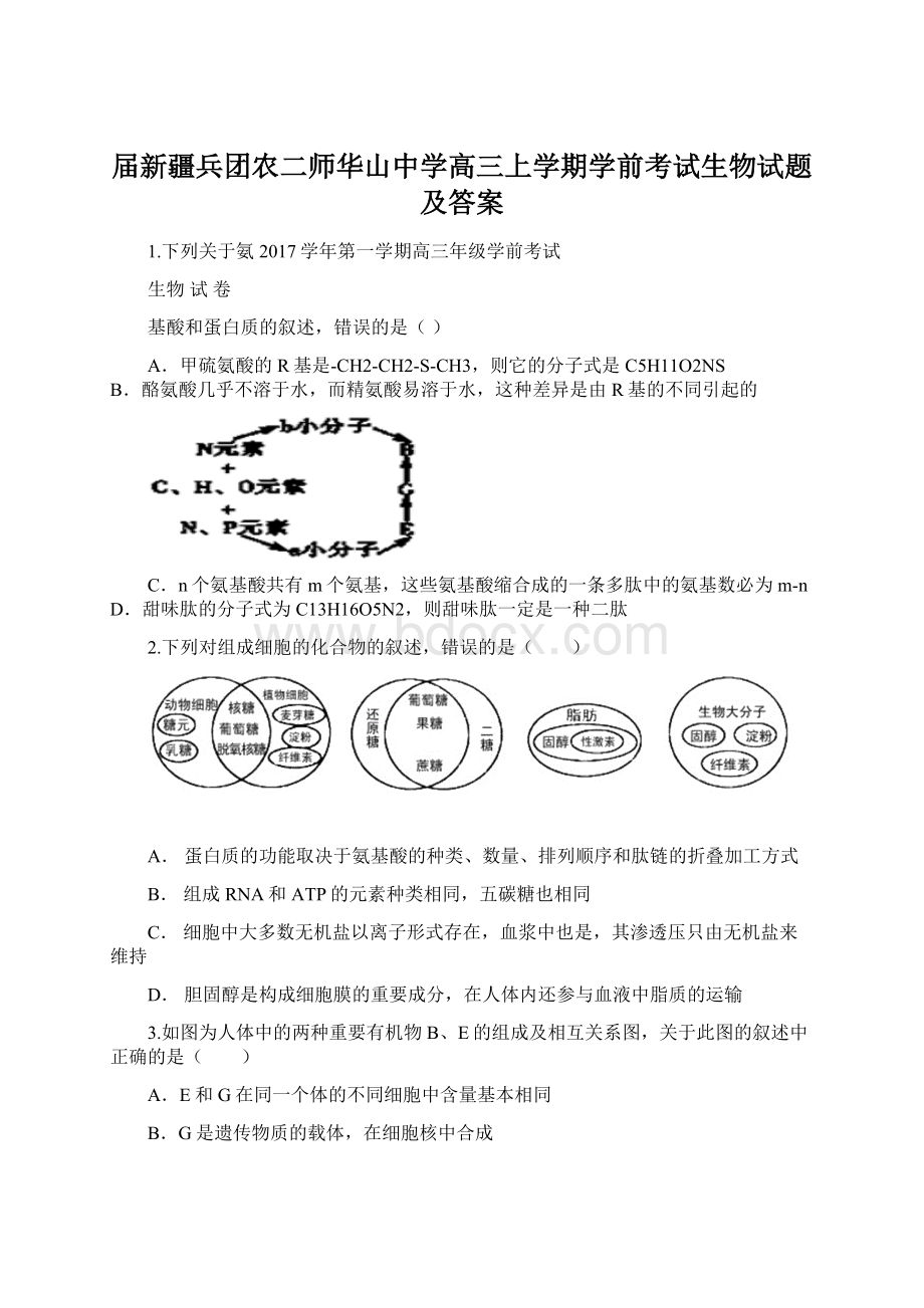 届新疆兵团农二师华山中学高三上学期学前考试生物试题及答案.docx