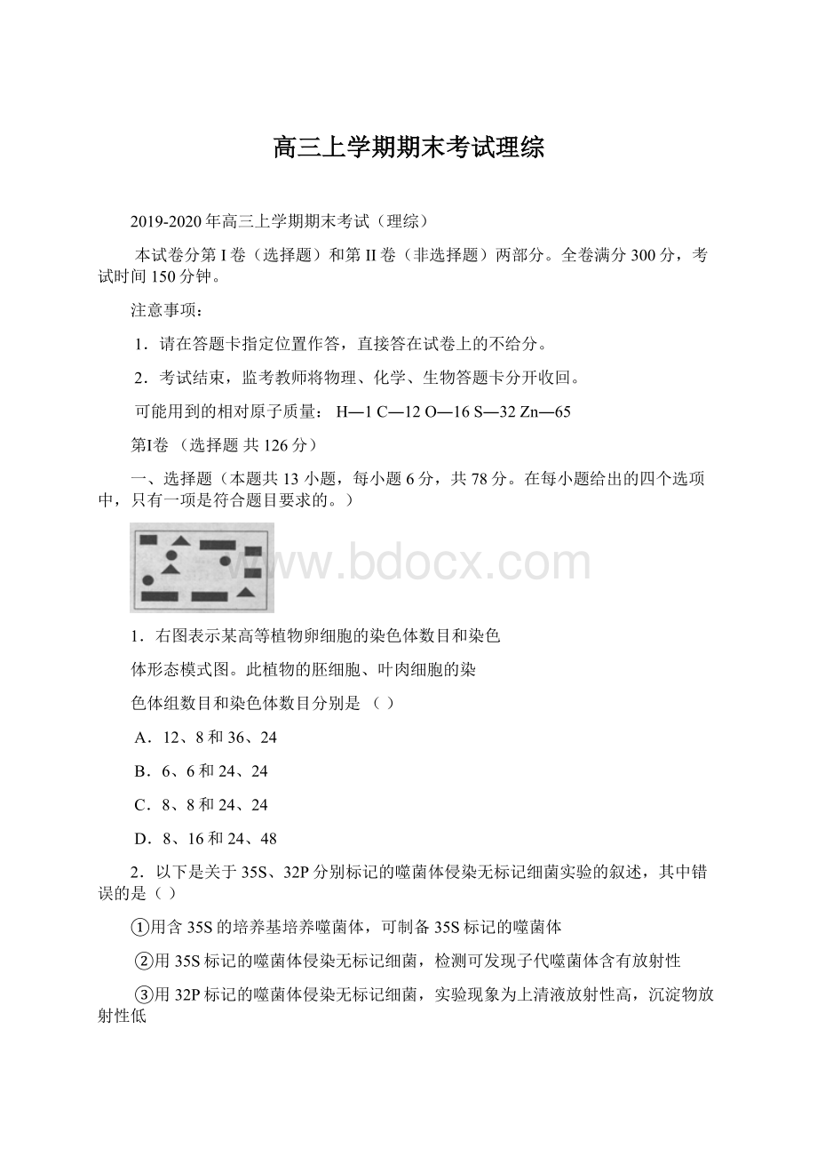 高三上学期期末考试理综.docx_第1页