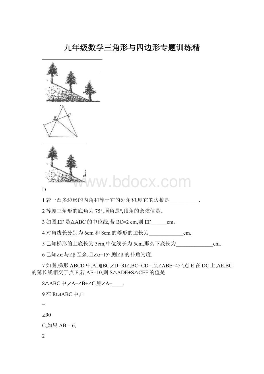 九年级数学三角形与四边形专题训练精文档格式.docx