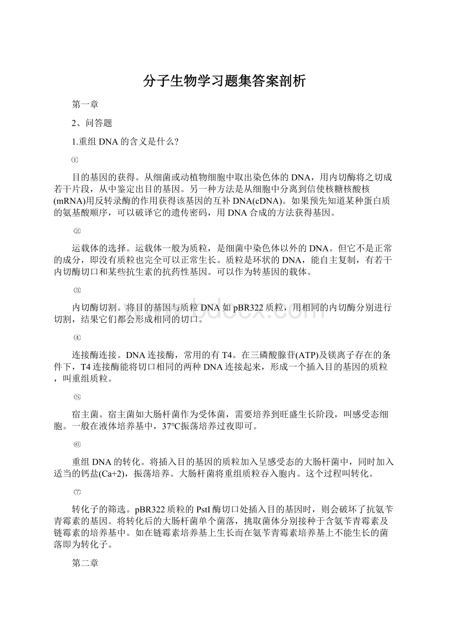 分子生物学习题集答案剖析Word下载.docx