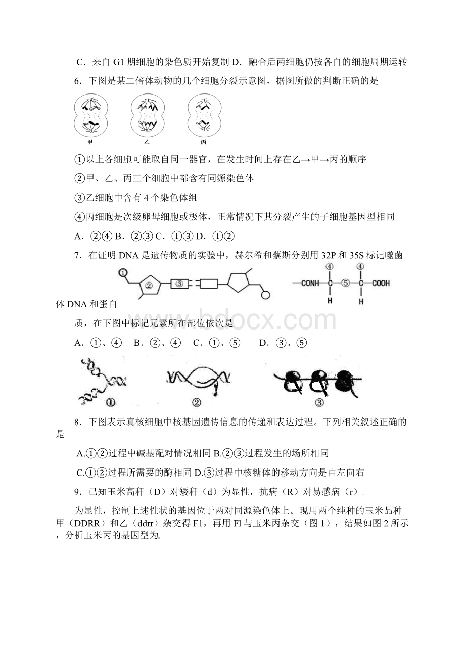 届高三寒假作业生物1.docx_第2页