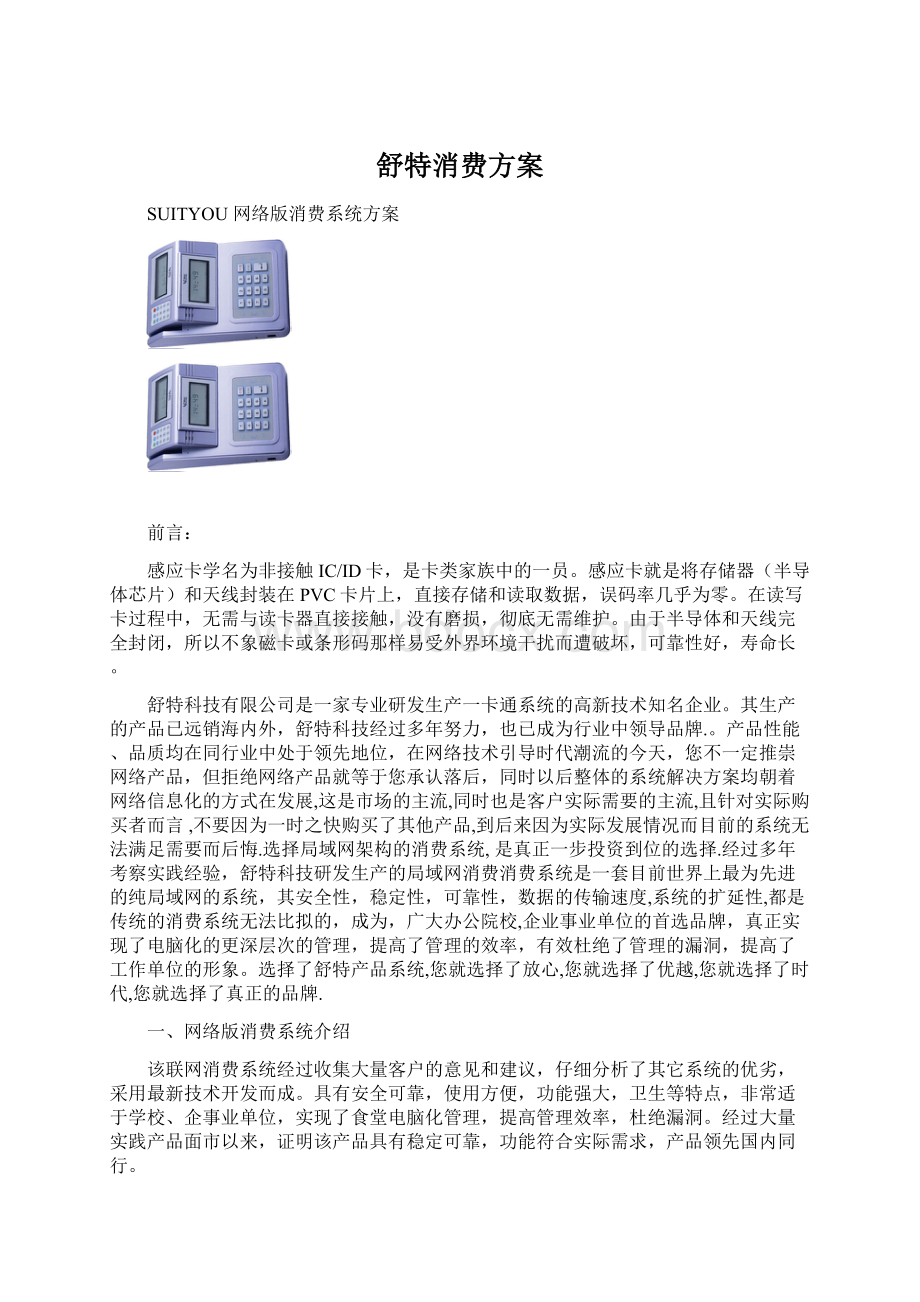 舒特消费方案Word文件下载.docx