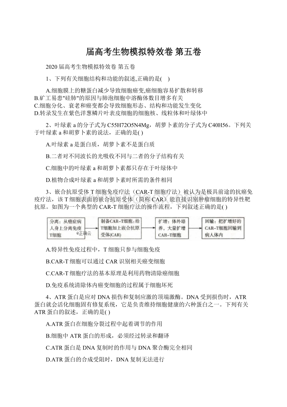 届高考生物模拟特效卷 第五卷Word文档格式.docx