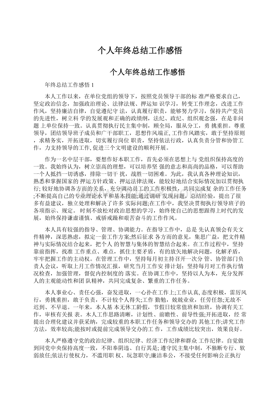 个人年终总结工作感悟Word格式文档下载.docx