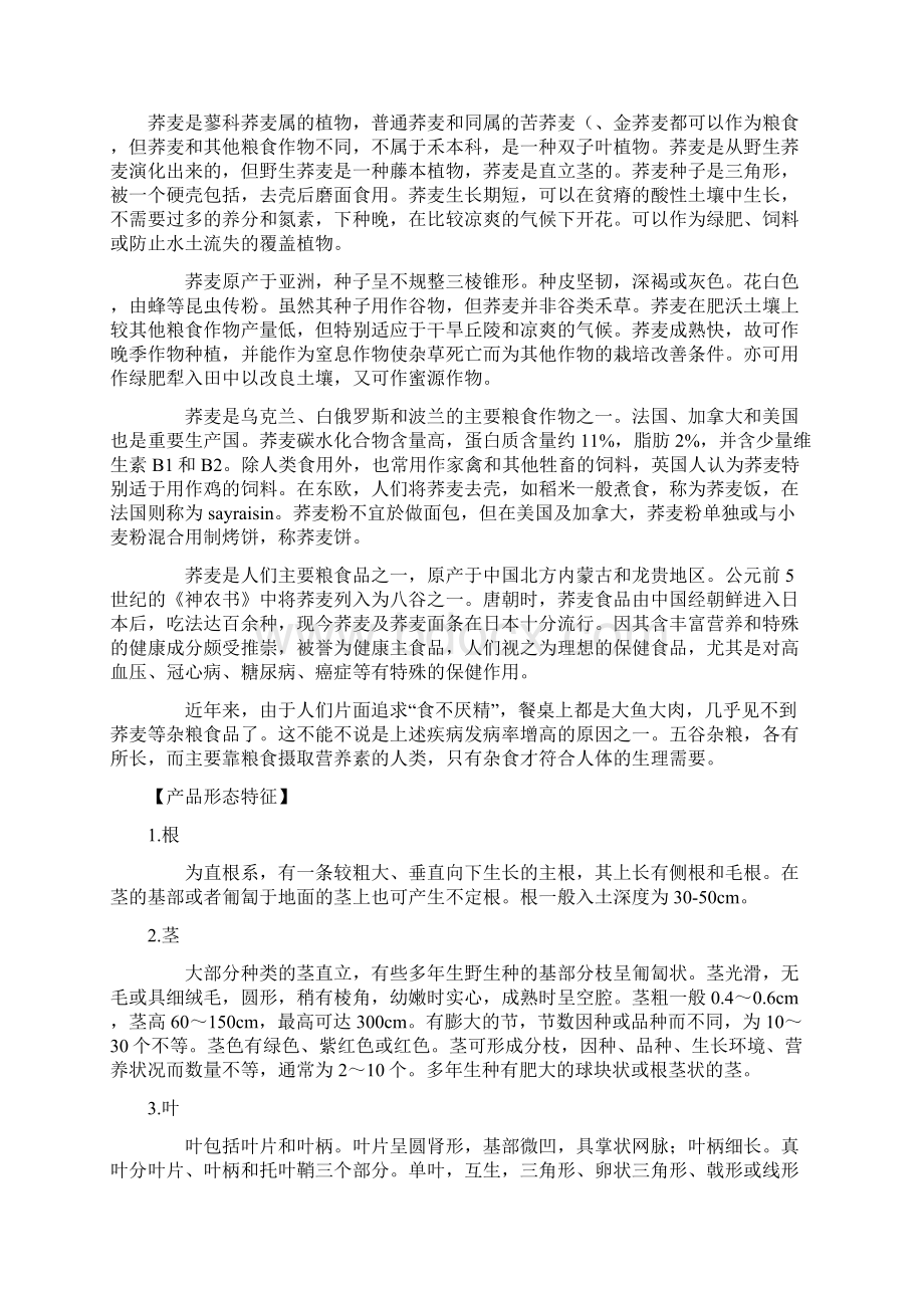 荞麦面品牌广告创意策划资料.docx_第2页