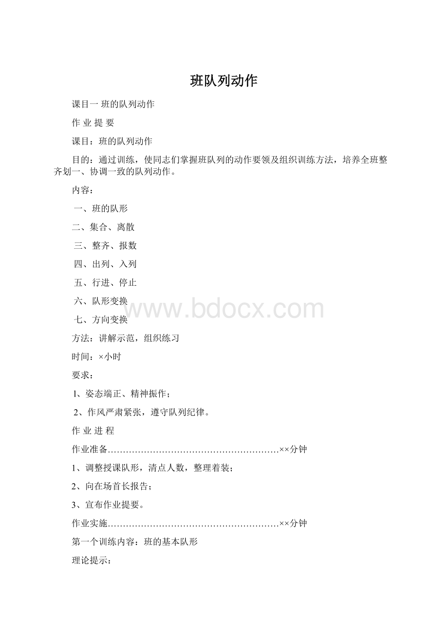 班队列动作文档格式.docx