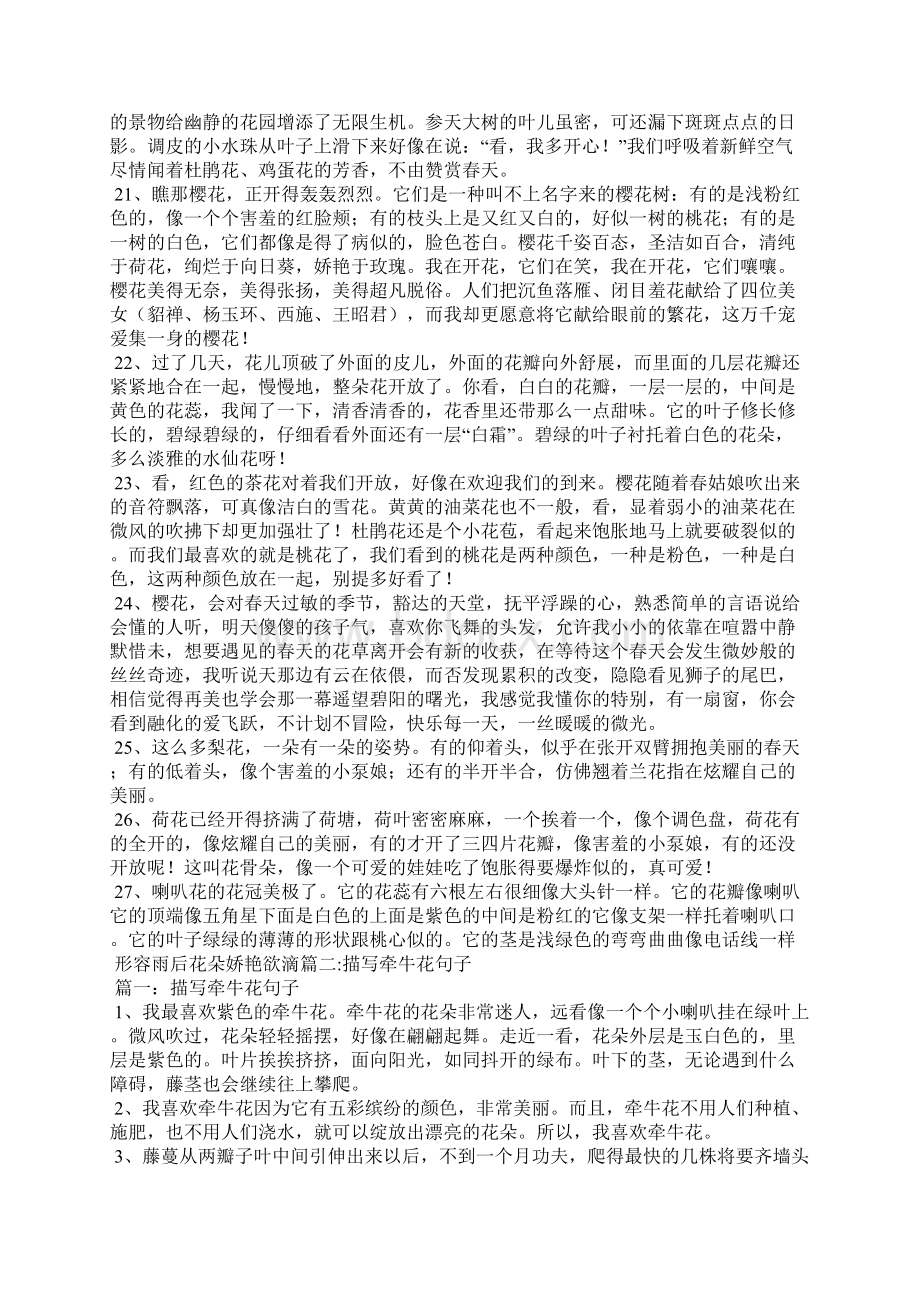 形容雨后花朵的诗句形容雨后花朵娇艳欲滴.docx_第3页