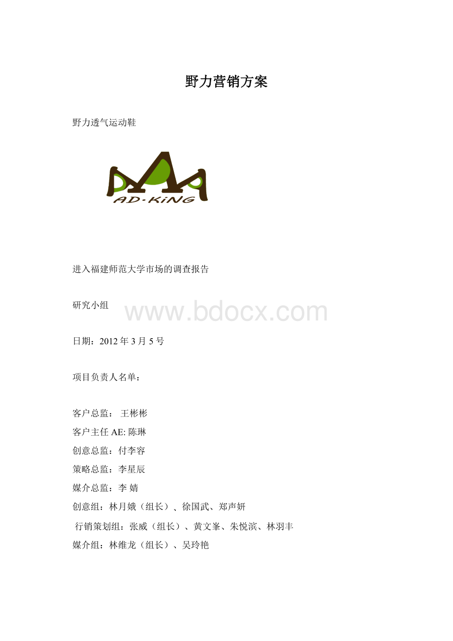 野力营销方案.docx