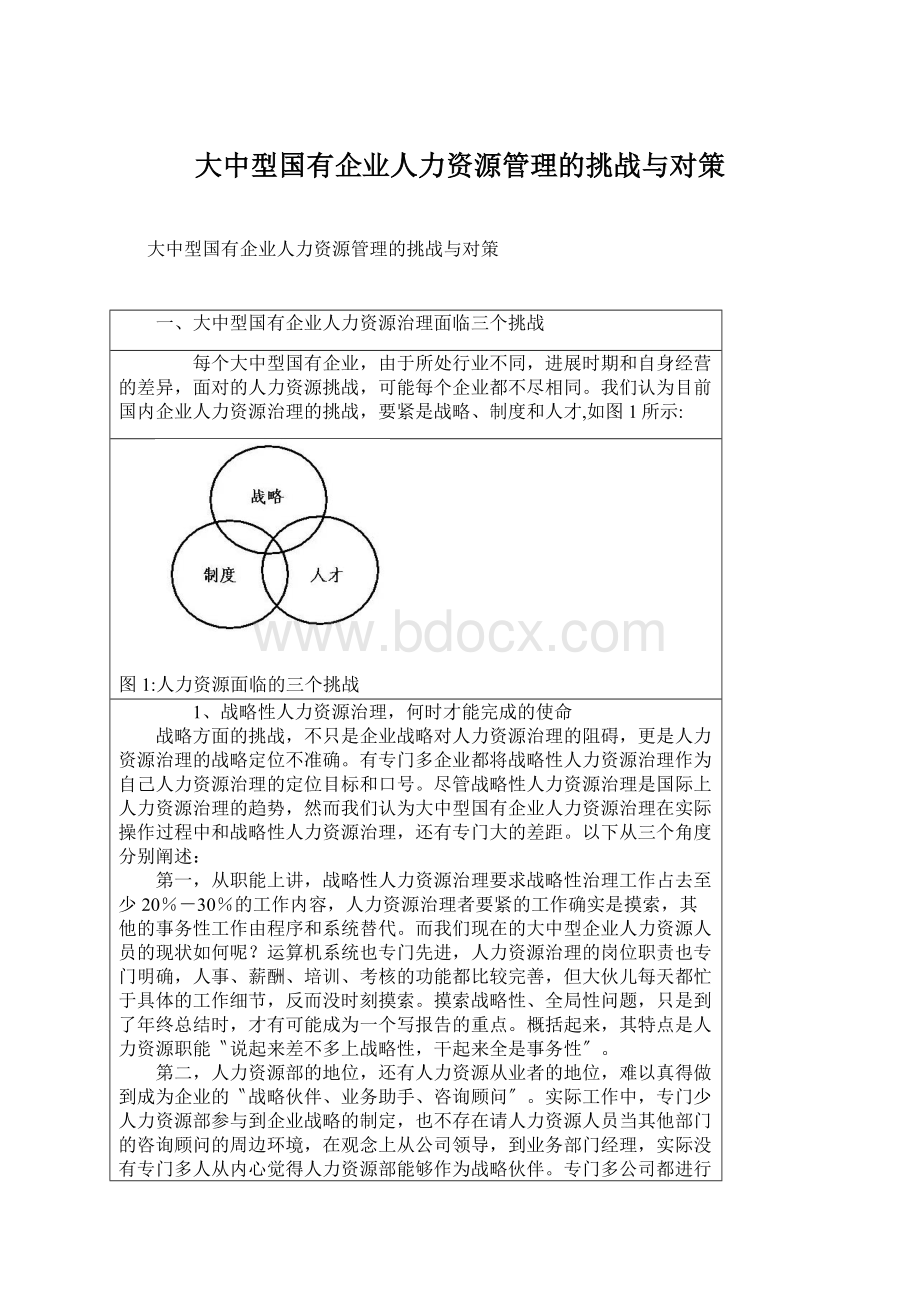 大中型国有企业人力资源管理的挑战与对策.docx_第1页