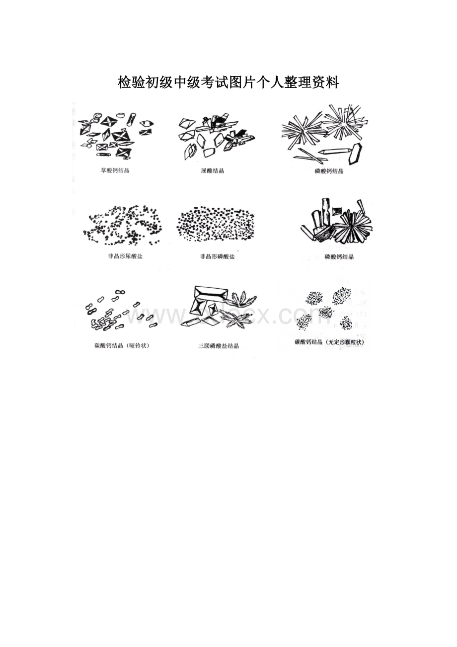 检验初级中级考试图片个人整理资料.docx