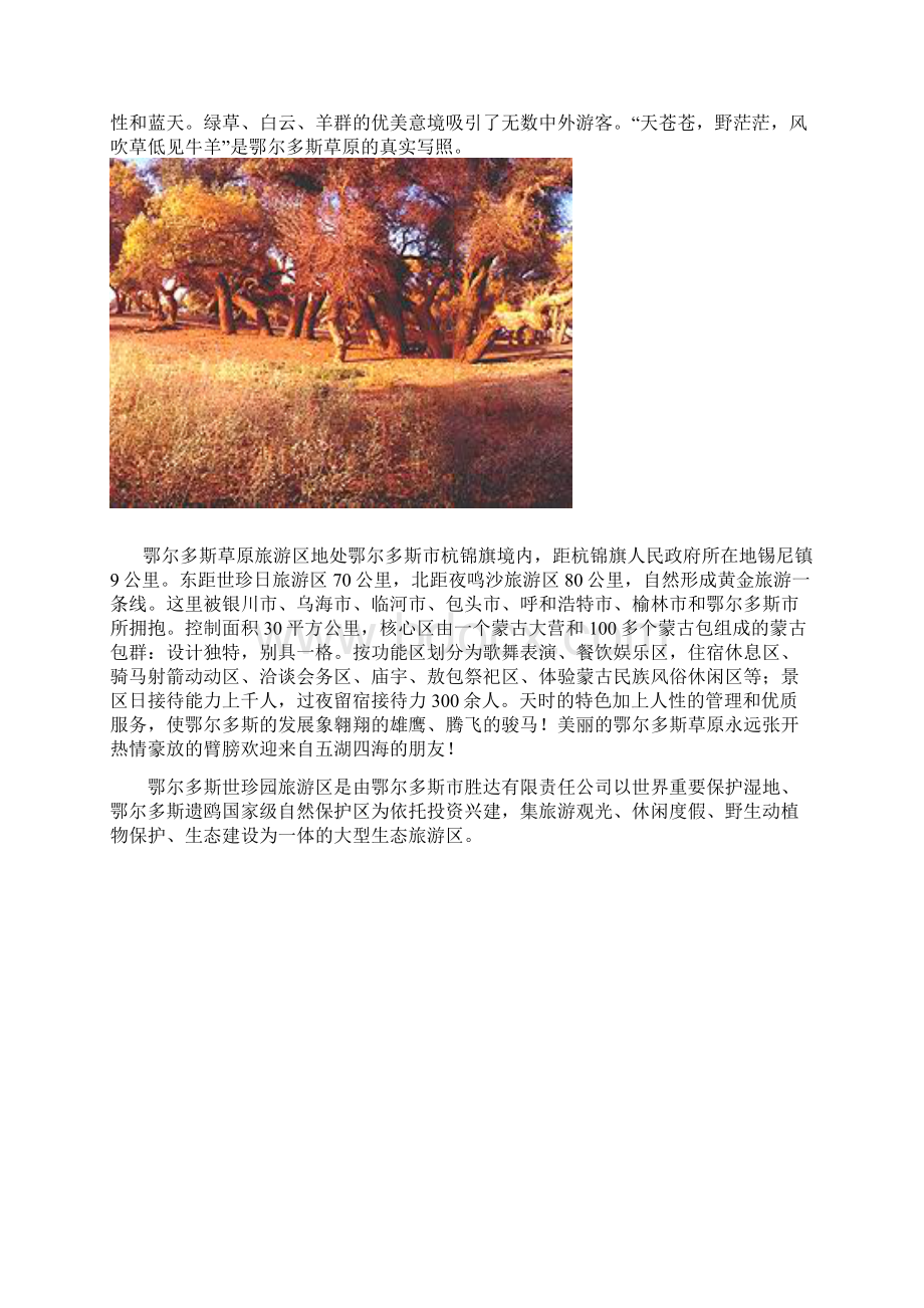 鄂尔多斯资料.docx_第3页