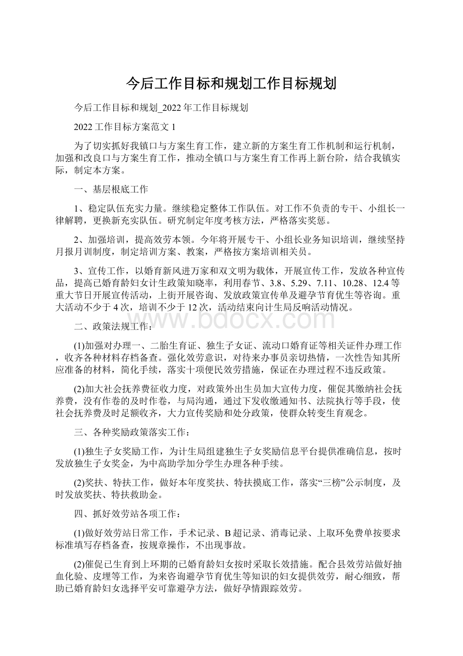 今后工作目标和规划工作目标规划.docx_第1页