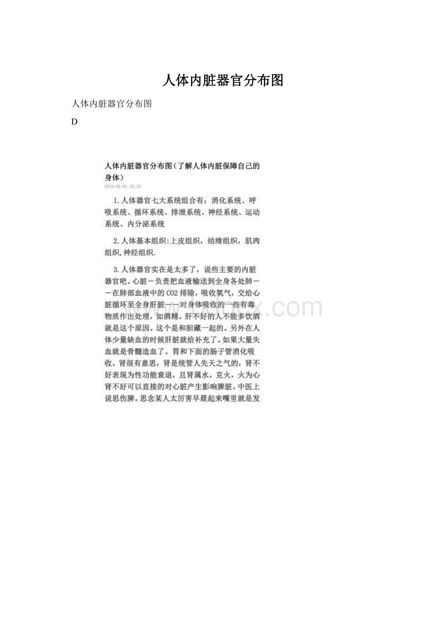 人体内脏器官分布图Word文件下载.docx