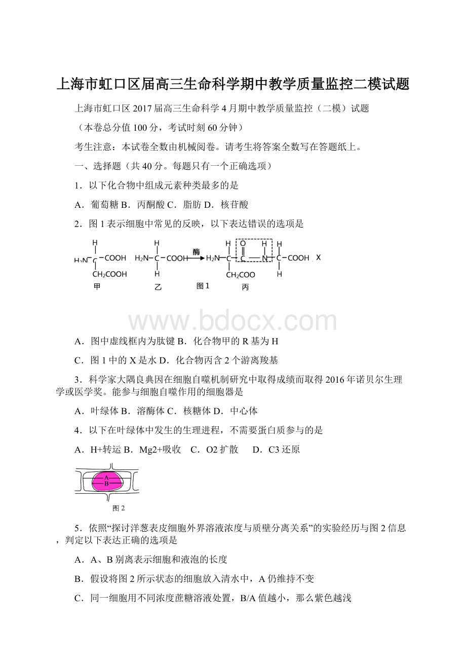 上海市虹口区届高三生命科学期中教学质量监控二模试题Word文件下载.docx