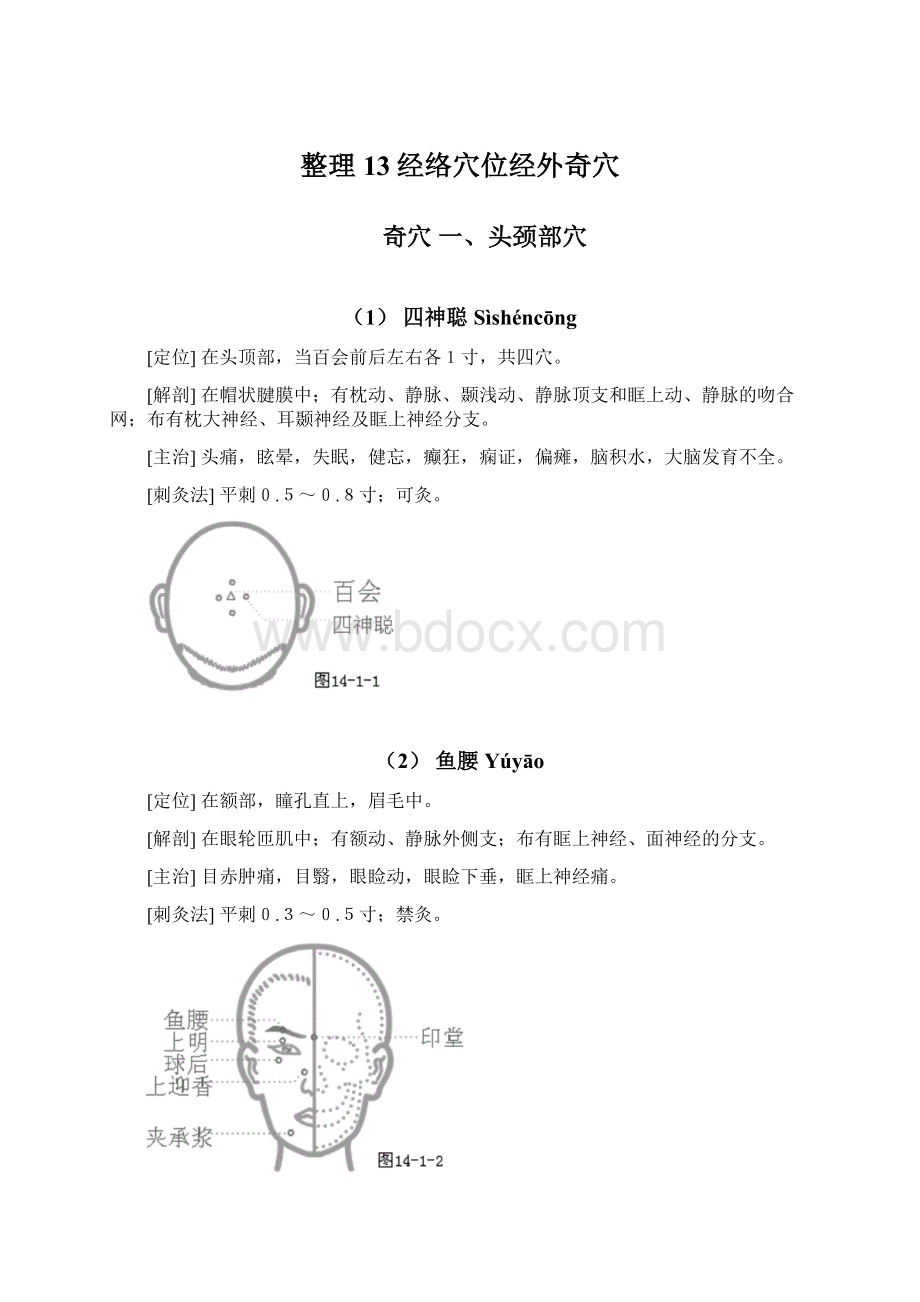 整理13经络穴位经外奇穴.docx_第1页