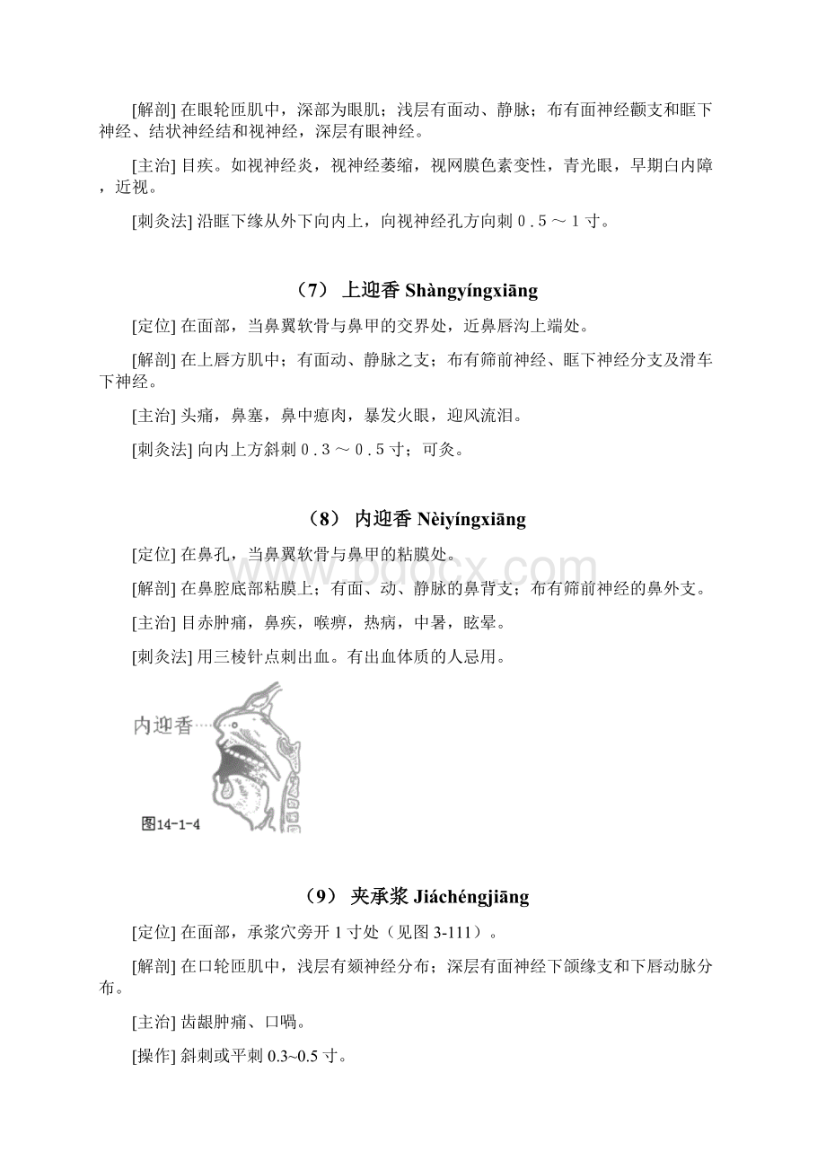 整理13经络穴位经外奇穴.docx_第3页