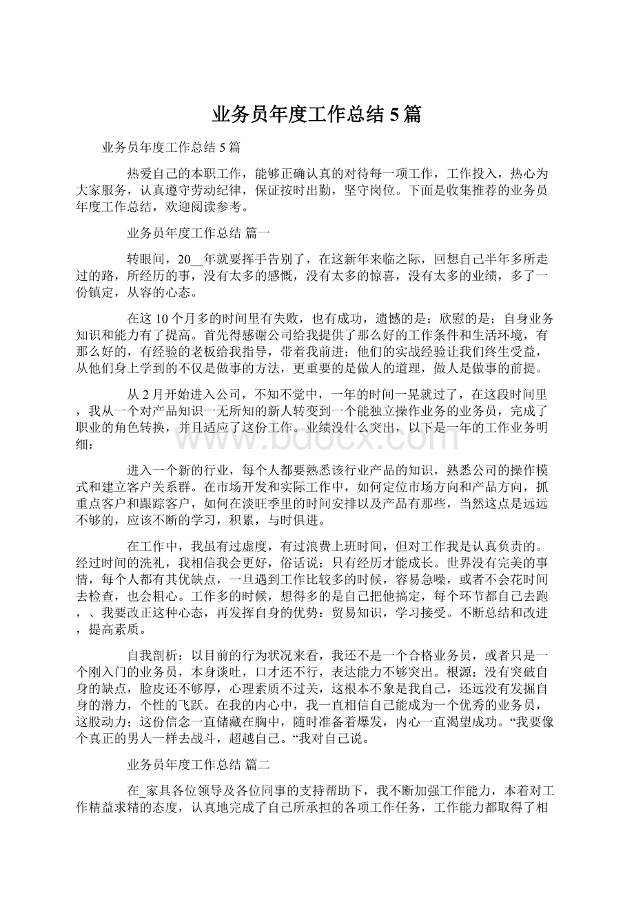 业务员年度工作总结5篇Word格式文档下载.docx_第1页