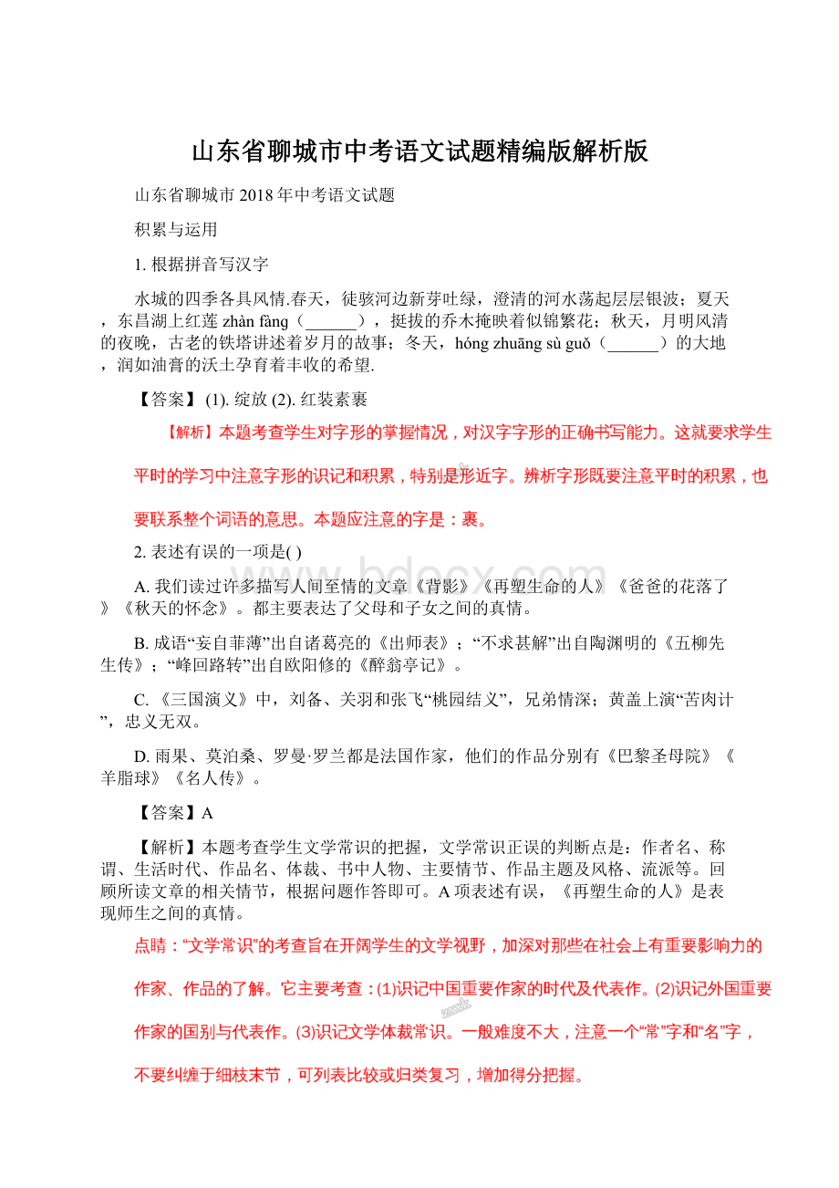 山东省聊城市中考语文试题精编版解析版.docx