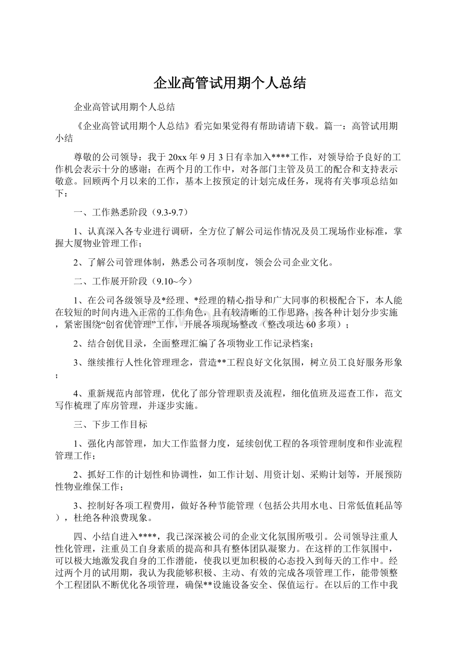 企业高管试用期个人总结Word文档下载推荐.docx