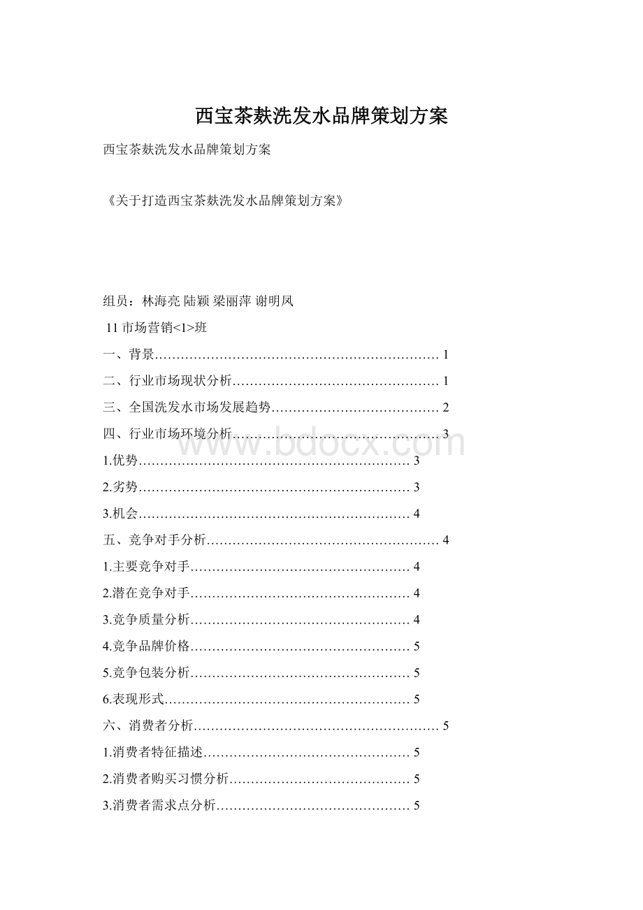 西宝茶麸洗发水品牌策划方案Word文档下载推荐.docx_第1页