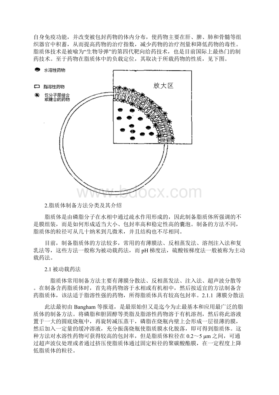 脂质体及其制备方法的选择共11页文档格式.docx_第2页